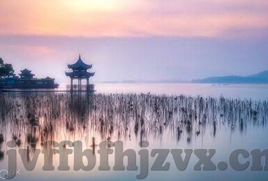 大象传媒app下载汅-大象传媒，连接世界的视听盛宴