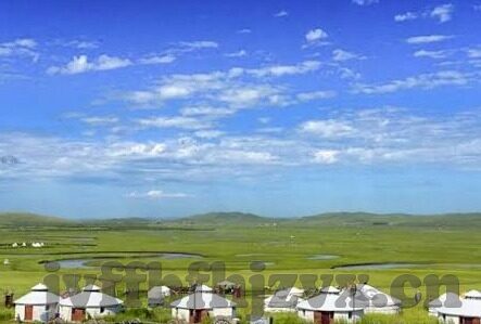 麻豆视频传-这篇文章显现了网络时代下，信息流通与娱乐需求之间的独特交汇——从麻豆视频传的兴起，看互联网文化现象下的消费新模式